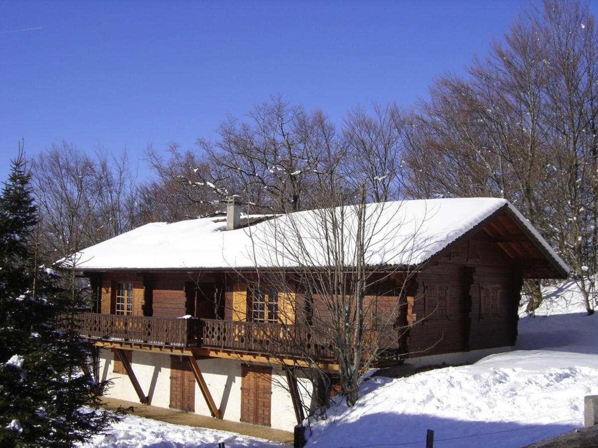 Appartement Chalet Renove 6 Pers Avec Terrasse Proche Evian, Ski Et Randonnee - Fr-1-498-29 Saint-Paul-en-Chablais Εξωτερικό φωτογραφία